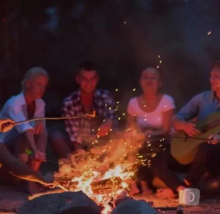 The Tulip Julia * Julianadorp