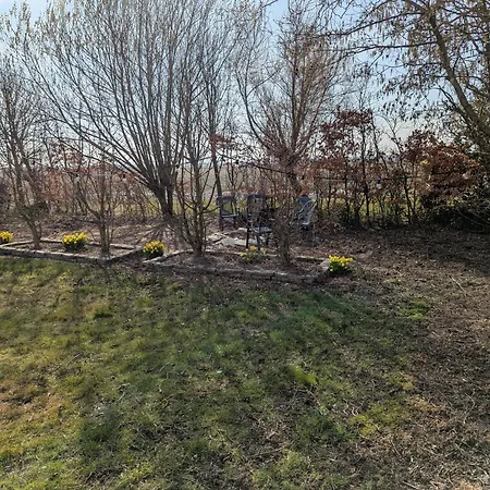 Apartamento The Tulip Julia