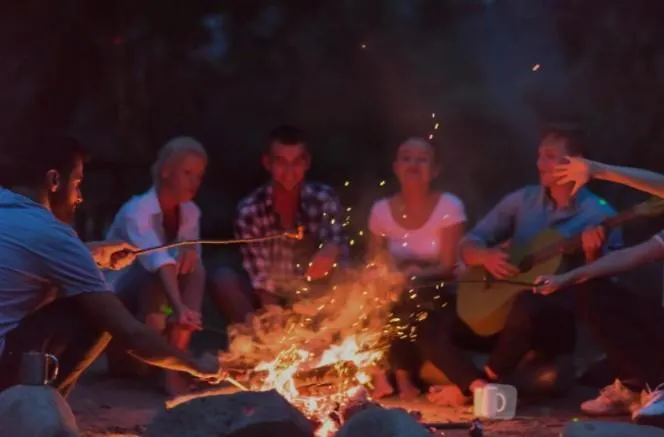 The Tulip Julia * Julianadorp