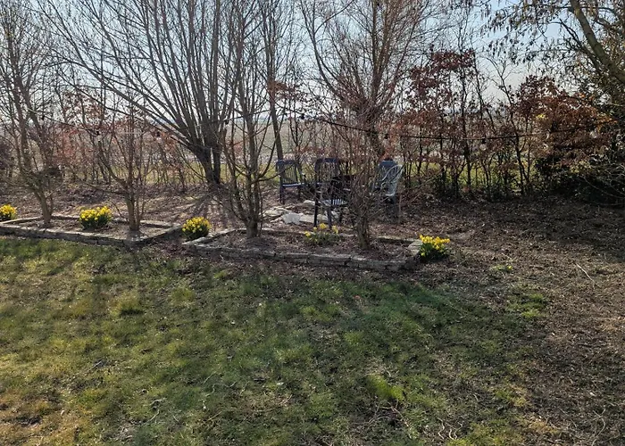 Apartman The Tulip Julia